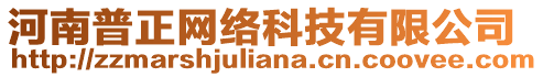 河南普正網(wǎng)絡(luò)科技有限公司