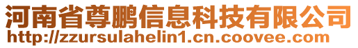 河南省尊鵬信息科技有限公司