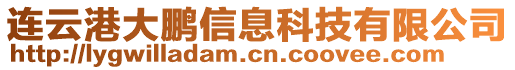 連云港大鵬信息科技有限公司