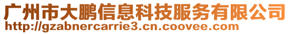 廣州市大鵬信息科技服務(wù)有限公司