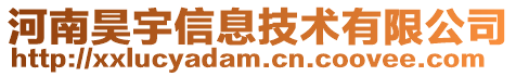 河南昊宇信息技術有限公司