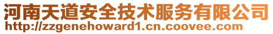 河南天道安全技術服務有限公司