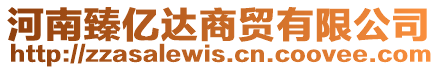 河南臻億達(dá)商貿(mào)有限公司