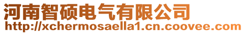 河南智碩電氣有限公司
