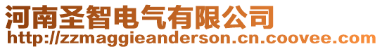 河南圣智電氣有限公司