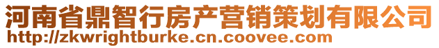 河南省鼎智行房產營銷策劃有限公司