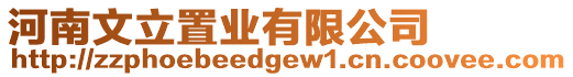 河南文立置業有限公司