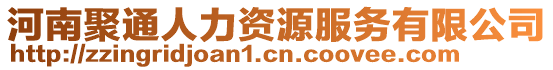 河南聚通人力資源服務有限公司