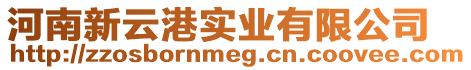 河南新云港實業(yè)有限公司