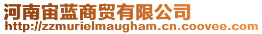 河南宙藍(lán)商貿(mào)有限公司