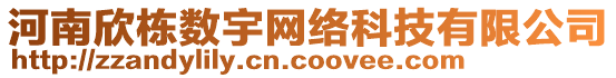 河南欣棟數(shù)宇網(wǎng)絡(luò)科技有限公司