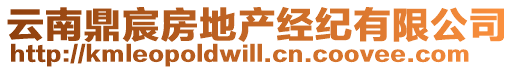 云南鼎宸房地產(chǎn)經(jīng)紀(jì)有限公司