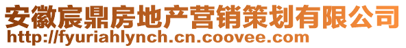 安徽宸鼎房地產(chǎn)營銷策劃有限公司