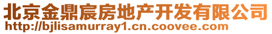 北京金鼎宸房地產(chǎn)開發(fā)有限公司