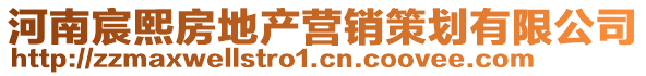 河南宸熙房地產營銷策劃有限公司