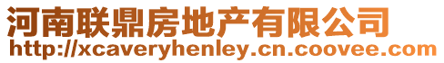 河南聯鼎房地產有限公司