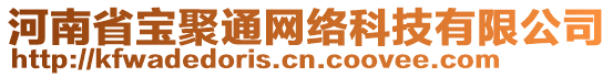 河南省寶聚通網(wǎng)絡(luò)科技有限公司