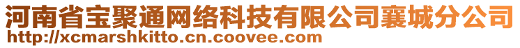 河南省寶聚通網(wǎng)絡(luò)科技有限公司襄城分公司