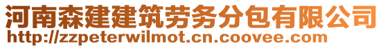 河南森建建筑勞務(wù)分包有限公司