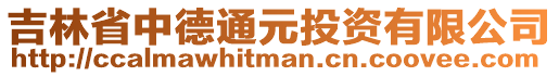 吉林省中德通元投資有限公司