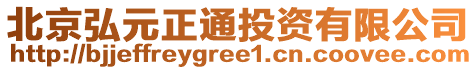 北京弘元正通投資有限公司