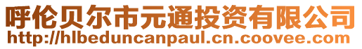 呼倫貝爾市元通投資有限公司