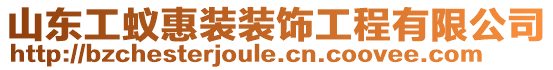 山東工蟻惠裝裝飾工程有限公司