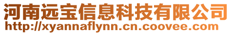 河南遠(yuǎn)寶信息科技有限公司