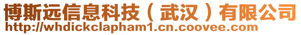 博斯遠信息科技（武漢）有限公司