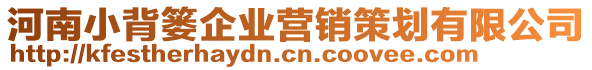 河南小背簍企業(yè)營銷策劃有限公司