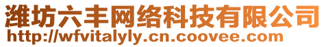 濰坊六豐網(wǎng)絡(luò)科技有限公司