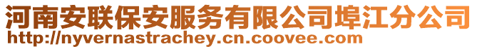 河南安聯(lián)保安服務(wù)有限公司埠江分公司