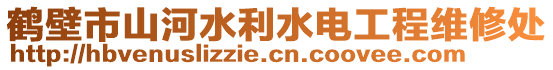 鶴壁市山河水利水電工程維修處