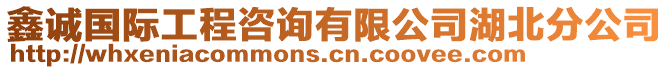 鑫誠國際工程咨詢有限公司湖北分公司