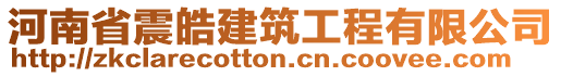 河南省震皓建筑工程有限公司