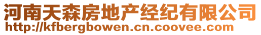 河南天森房地產(chǎn)經(jīng)紀(jì)有限公司