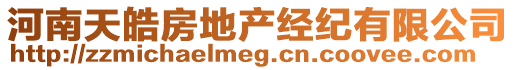 河南天皓房地產(chǎn)經(jīng)紀(jì)有限公司