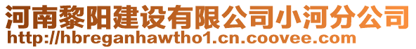 河南黎陽建設(shè)有限公司小河分公司