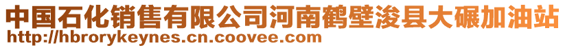 中國(guó)石化銷售有限公司河南鶴壁浚縣大碾加油站