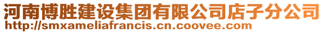 河南博勝建設(shè)集團(tuán)有限公司店子分公司