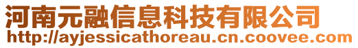 河南元融信息科技有限公司