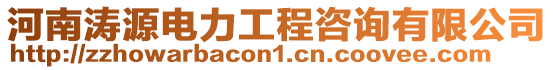 河南濤源電力工程咨詢有限公司