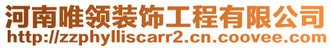 河南唯領(lǐng)裝飾工程有限公司