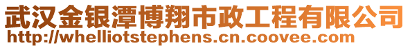 武漢金銀潭博翔市政工程有限公司