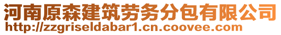 河南原森建筑勞務(wù)分包有限公司