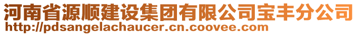 河南省源順建設(shè)集團(tuán)有限公司寶豐分公司