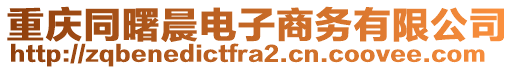 重慶同曙晨電子商務(wù)有限公司