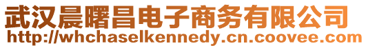 武漢晨曙昌電子商務有限公司