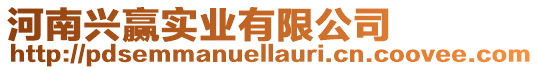 河南興贏實業(yè)有限公司