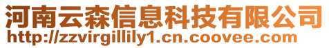 河南云森信息科技有限公司